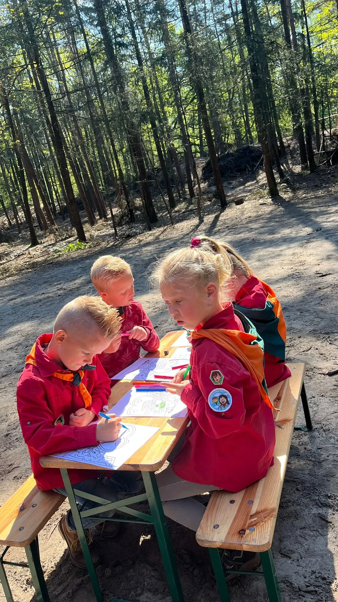 Bevers zitten aan een picknicktafel in het bos en tekenen op papier