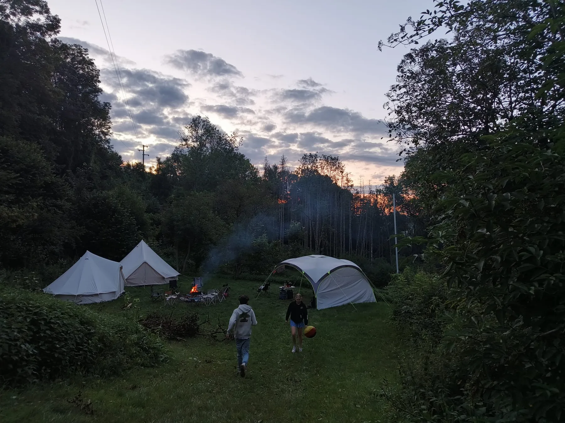 Tentenkamp op een open plek in het bos bij schemering
